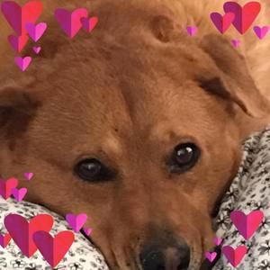 Meet your Posher, Paula